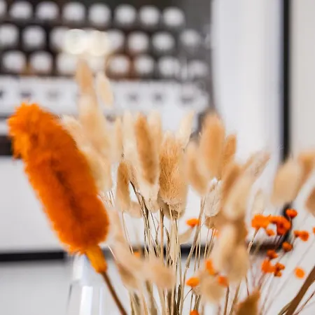 Appartement Casa Del Fotografo, A Due Passi Dall'accademia Modena