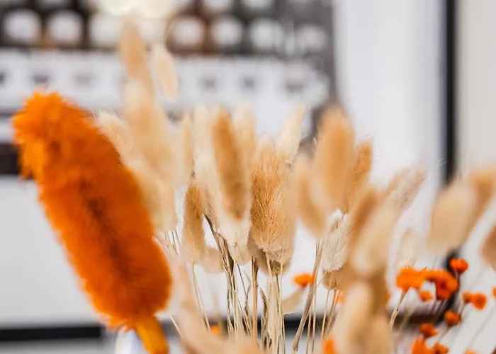 Apartament Casa Del Fotografo, A Due Passi Dall'accademia Modena